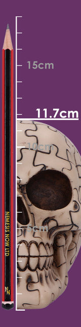 Puzzled Skull 11.7cm