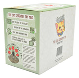 Glassstaff Gift Set Mug & Dice D20 You can certainly try