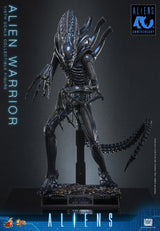 Alien Movie Masterpiece Action Figure 1/6 Alien Warrior 39 cm