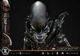 Alien (Film) Museum Masterline XL Statue 1/3 Big Chap Xenomorph Close Up Shot Ver. 100 cm