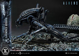 Aliens (Film) Ultimate Diorama Masterline Statue Warrior Xenomorph for Queen Alien 23 cm
