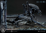 Aliens (Film) Ultimate Diorama Masterline Statue Warrior Xenomorph for Queen Alien 23 cm